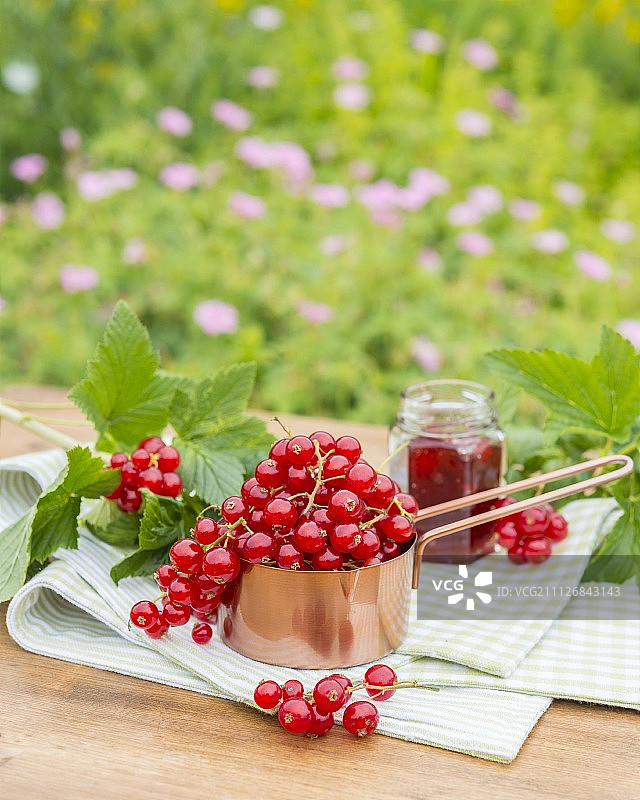 花园桌子上铜锅里的红醋栗图片素材
