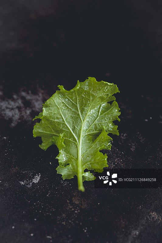 深色表面上的嫩甘蓝叶图片素材