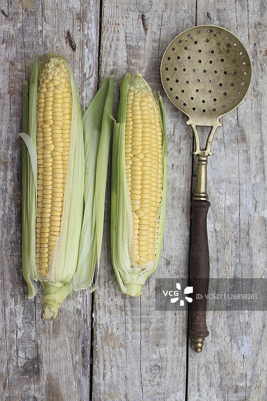 木质表面上的两根玉米棒图片素材