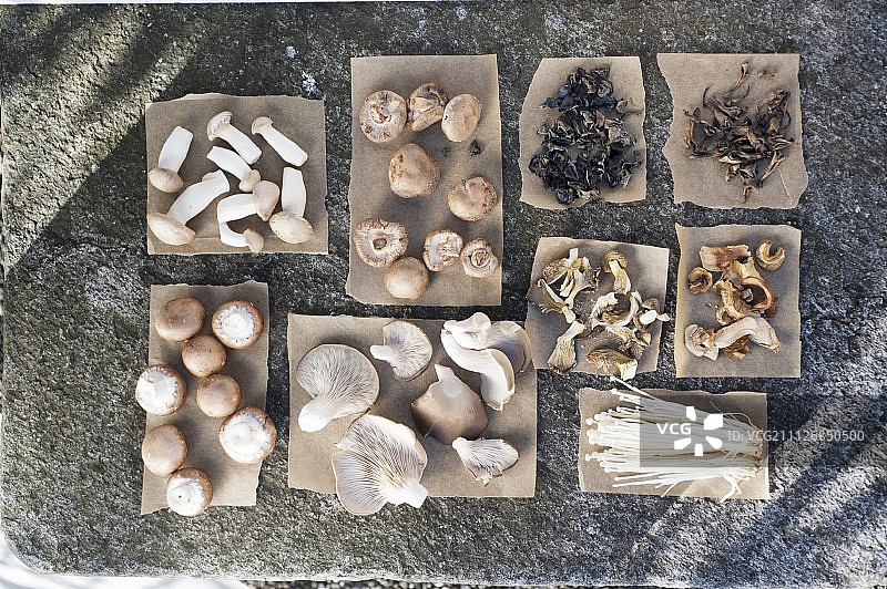 纸上的各种新鲜和干燥食用蘑菇图片素材