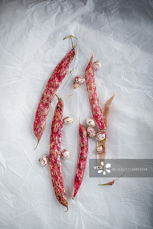 白色纸背景下的博洛蒂豆（俯视）图片素材