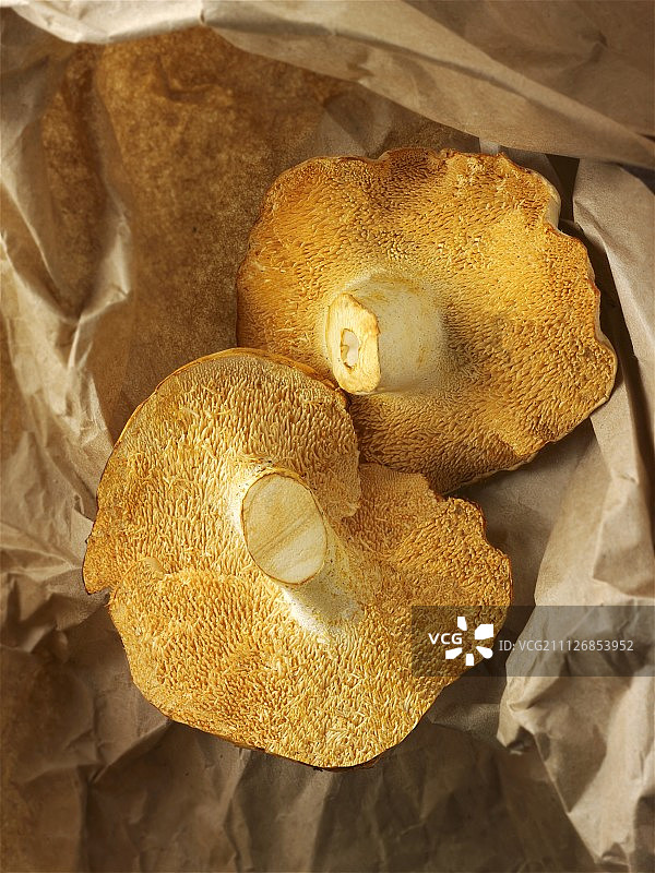 纸上的新鲜刺猬蘑菇图片素材