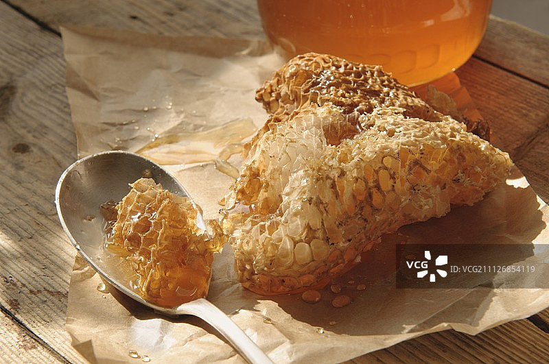 羊皮纸上的野生蜂巢和勺子图片素材