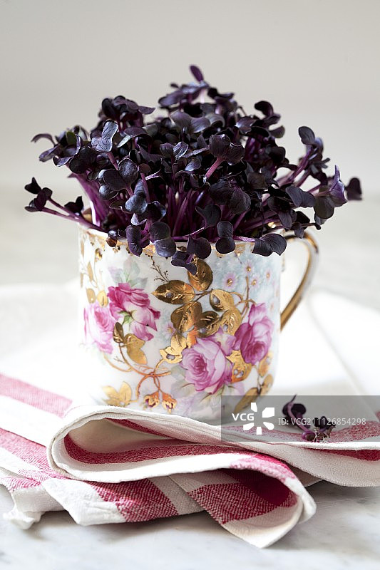 杯装小红萝卜图片素材