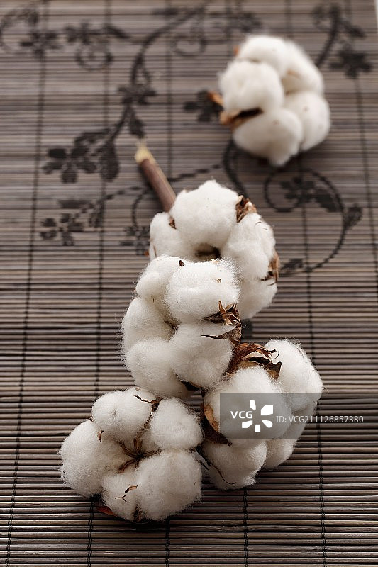 棉花图片素材