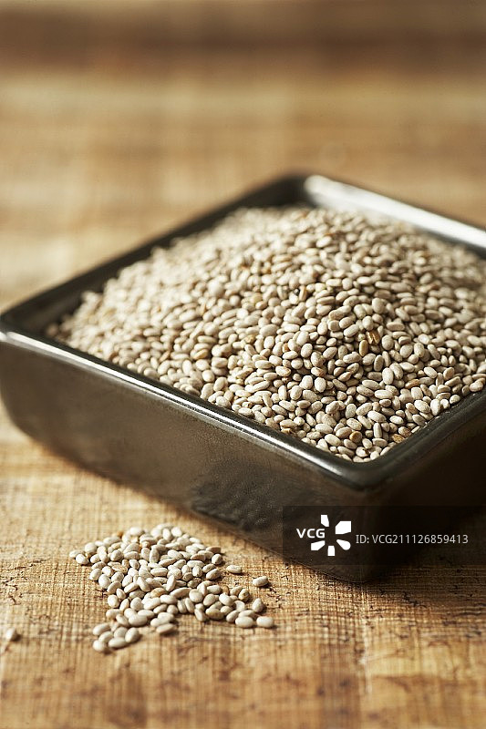 奇亚籽（芡欧鼠尾草）图片素材