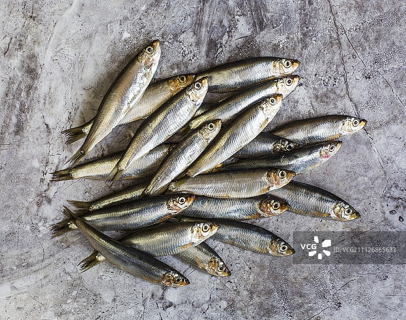 瓦片上的小鲱鱼堆图片素材