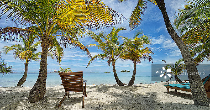 伯利兹的绿色植物图片素材