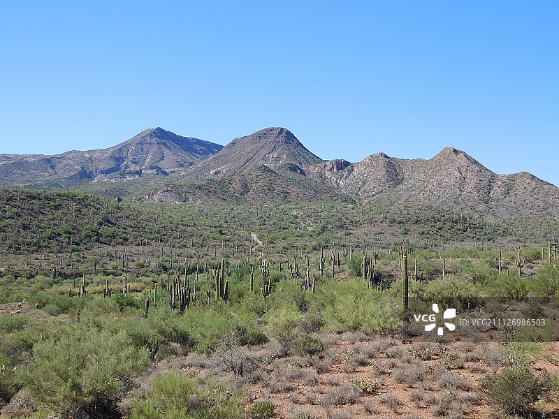 索诺兰沙漠的绚丽色彩图片素材