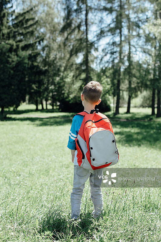 学童在上学路上，背景是树木的后视图图片素材