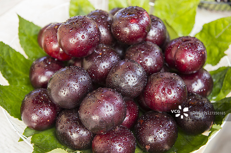 乌梅,李坑村,婺源,江西省,中国图片素材