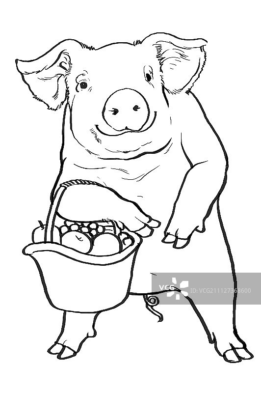 猪年,新年,春节图片素材