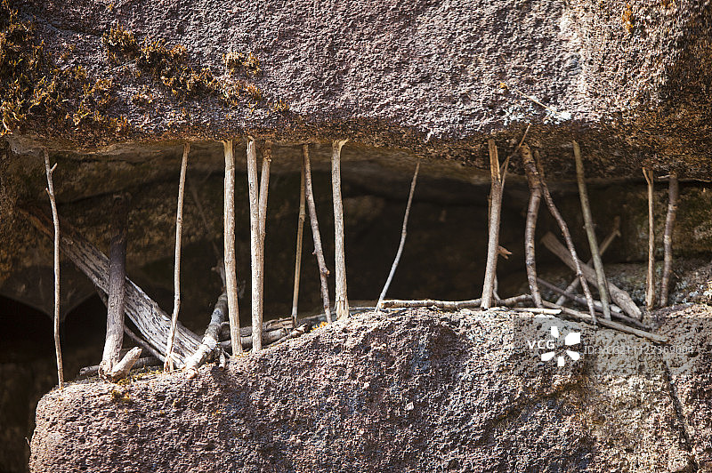 大鄣山卧龙谷,婺源,江西省,中国,亚洲图片素材
