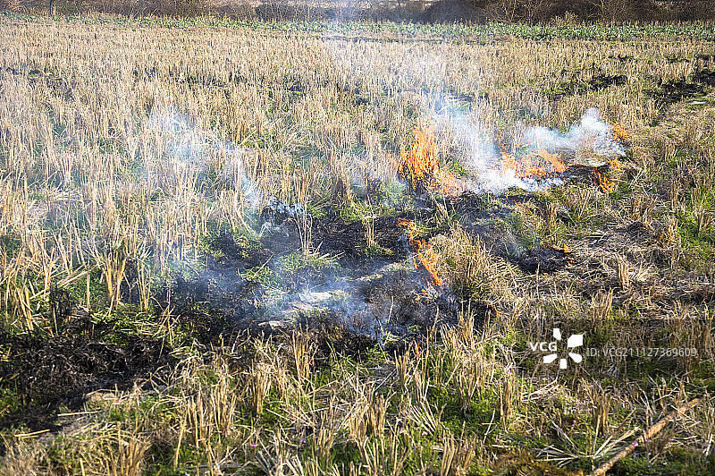 婺源,江西省,中国,亚洲图片素材