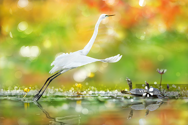 中国台湾基隆图片素材