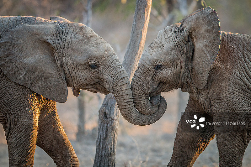 拥抱时光图片素材