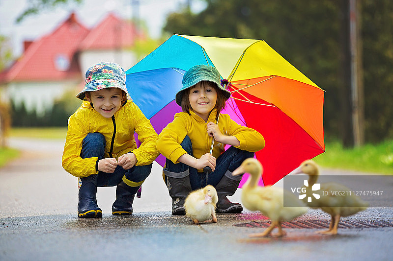 漂亮的儿童在雨中和小鸭子玩耍图片素材
