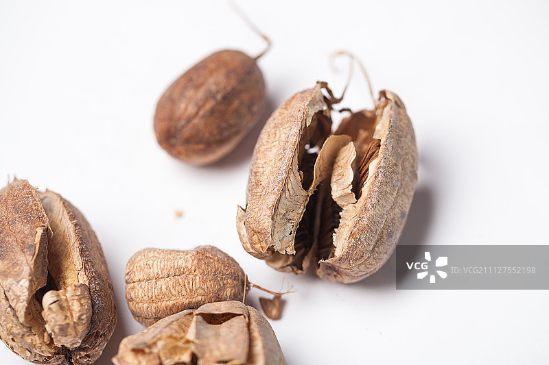 马兜铃图片素材