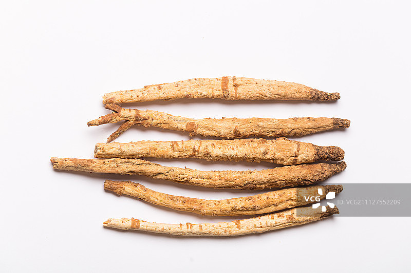 北沙参图片素材