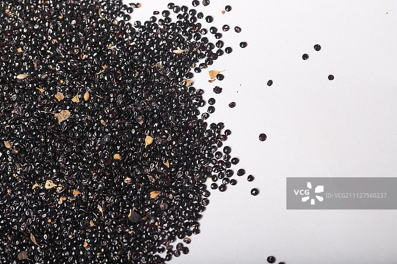 _M青葙子图片素材