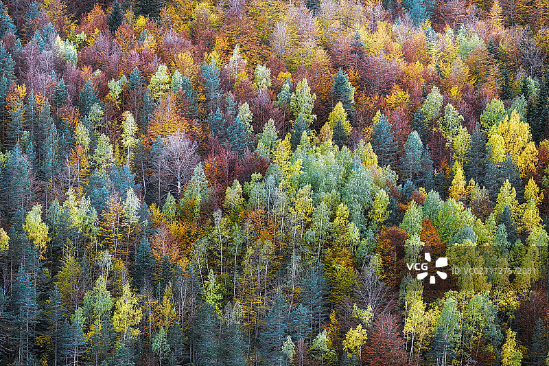 摄影师：Ana Tramont图片素材