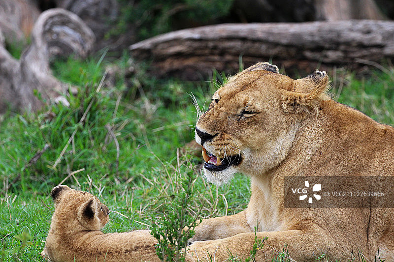 你真有趣！图片素材