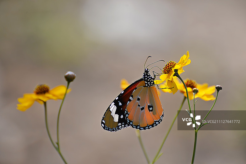 自然风光图片素材