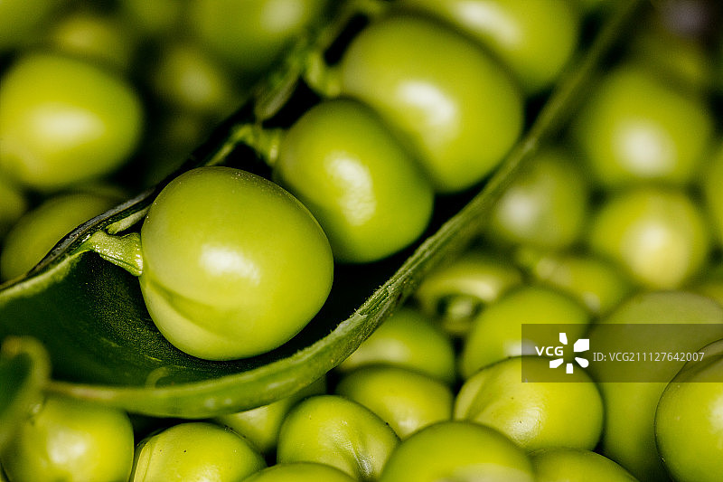 新鲜的豌豆图片素材