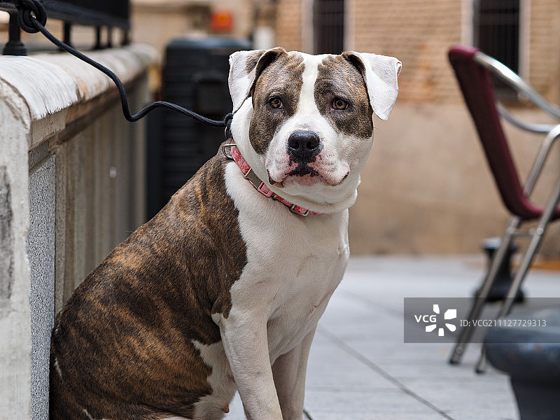 托莱多图片素材