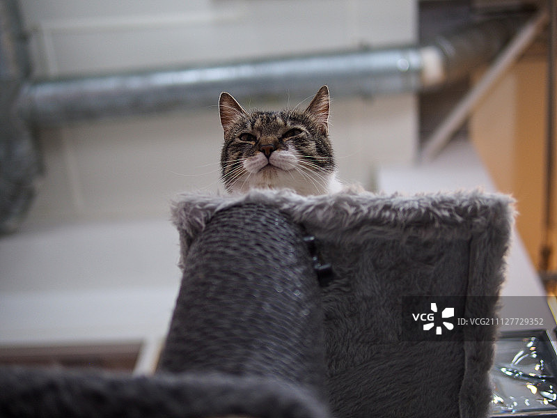 马德里图片素材