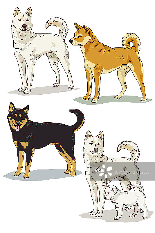 动物图案006图片素材