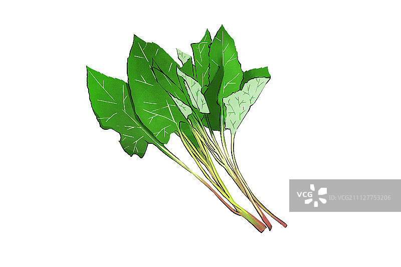 季节美食005图片素材