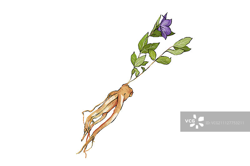 时令美食010图片素材