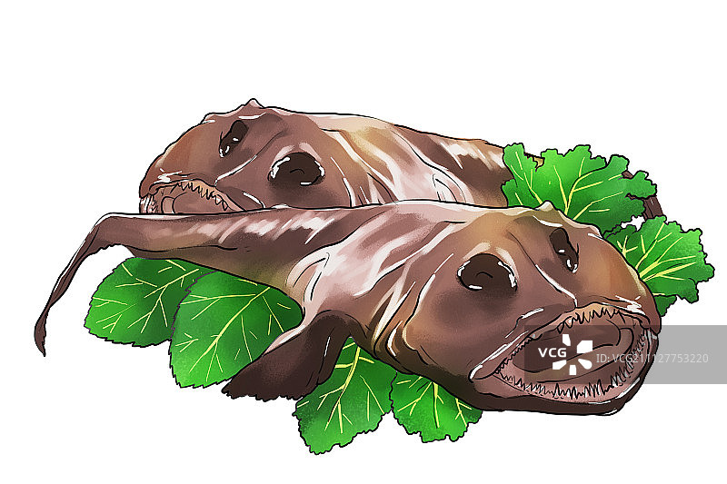 时令美食018图片素材