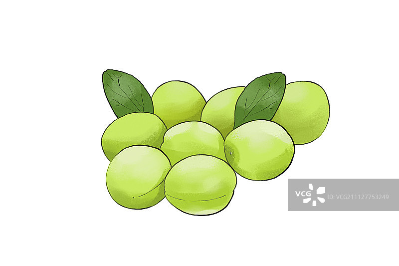 时令美食 044图片素材