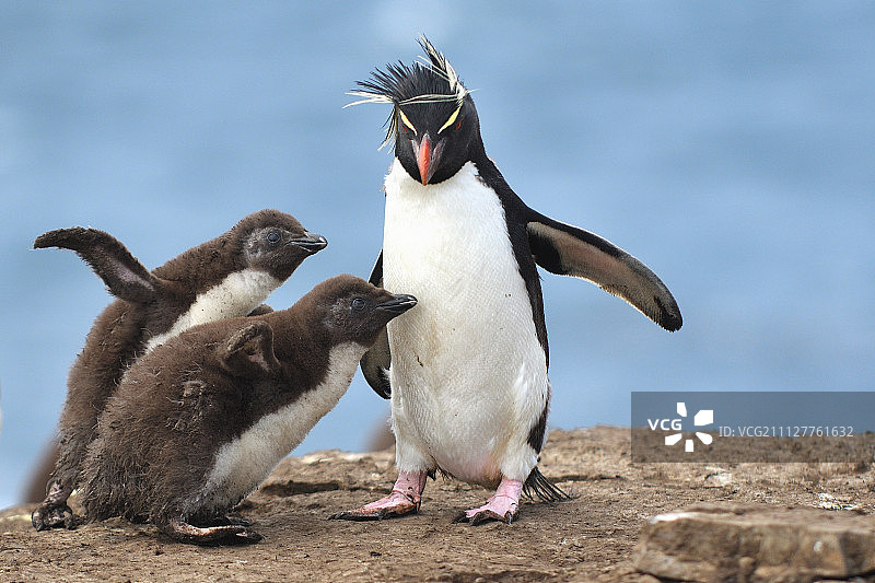 团聚的喜悦图片素材