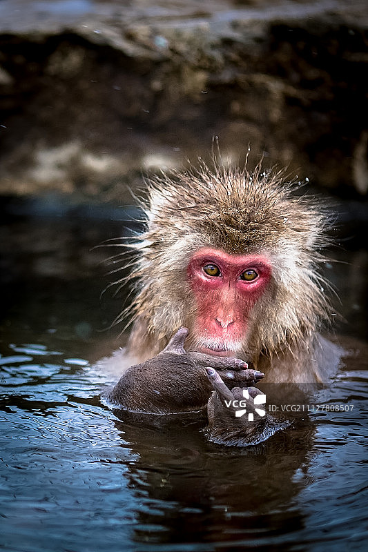 日本 中野区图片素材