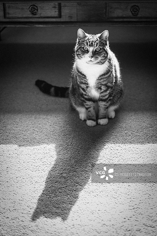 英国考文垂图片素材