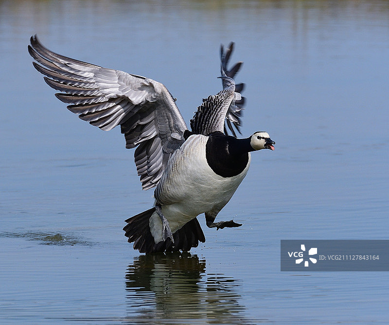 白色人脸图片素材