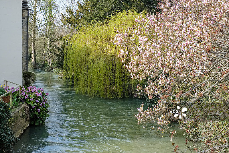 沿威特尼温德拉什河的不同种类的树木图片素材