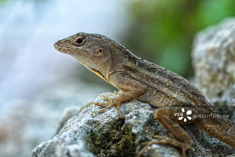 500px图片ID: 206561525图片素材