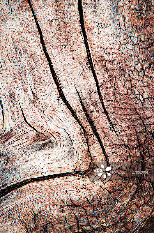 带凹槽的老树桩纹理图片素材