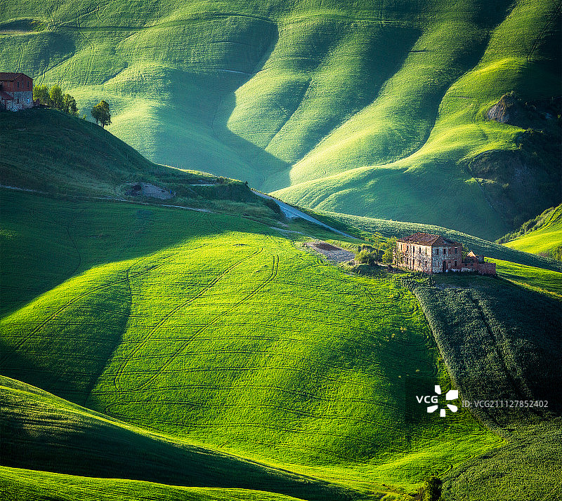 锡耶纳 Crete Senesi，托斯卡纳图片素材
