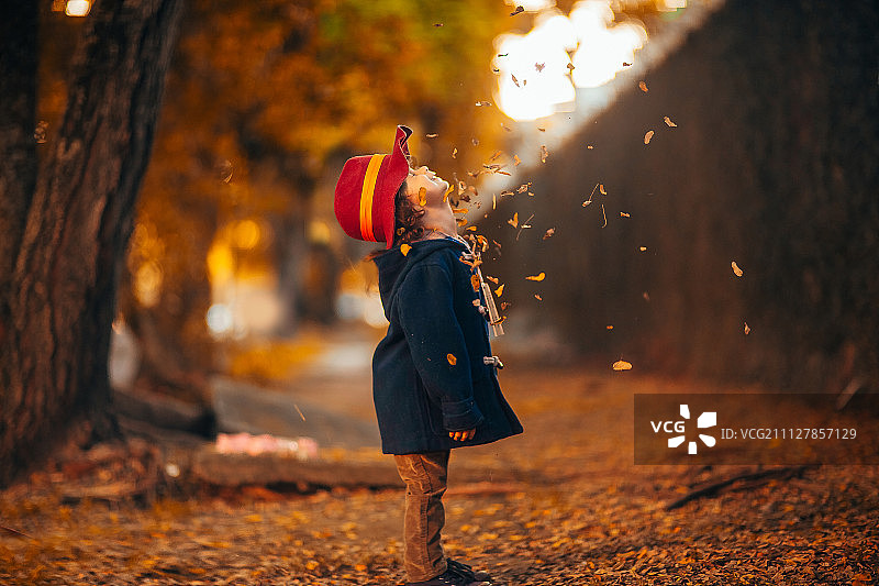 帕丁顿熊图片素材