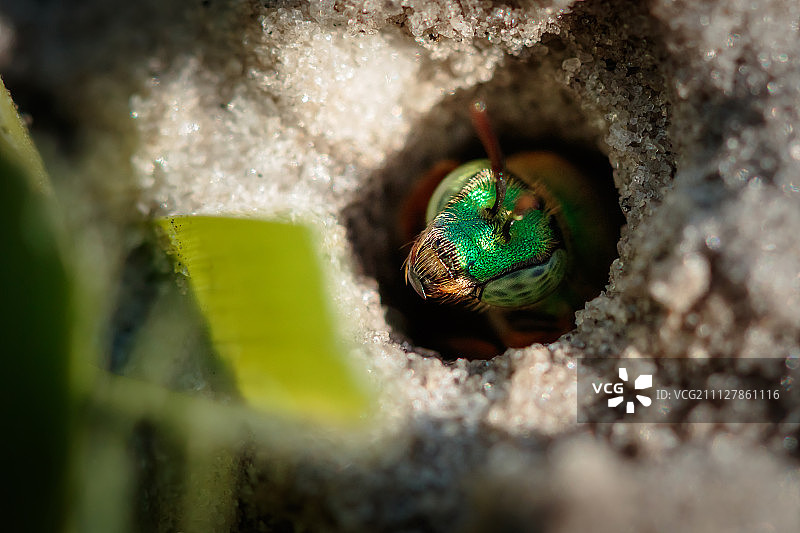 甜蜜之家图片素材