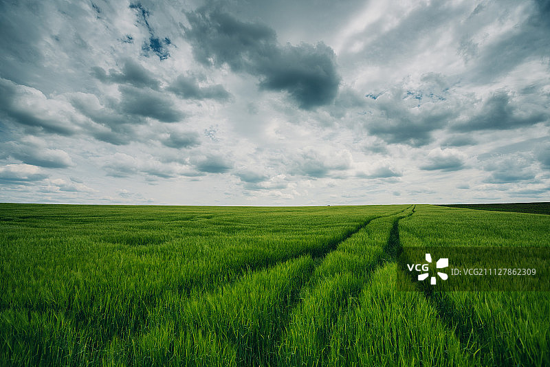 绿色麦田与壮丽云景的日落图片素材