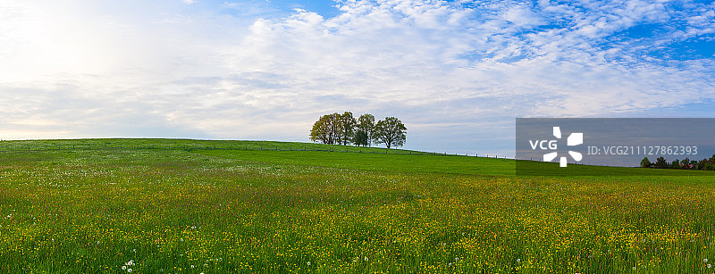 在山丘上图片素材