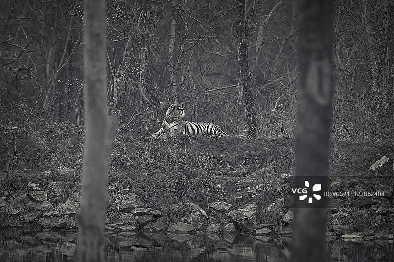 黑色条纹图片素材