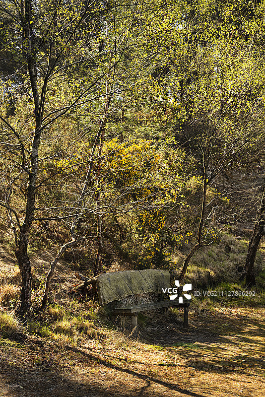 湖边长椅美丽风景图片素材