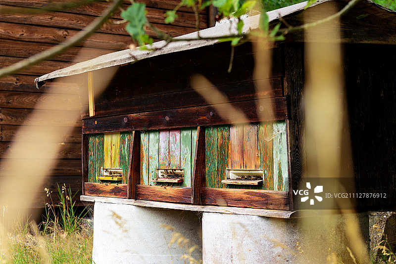 带有蜂箱的可爱复古木制蜂房图片素材